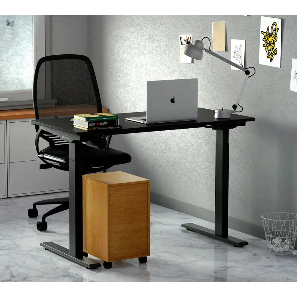 Erogpixel Altura leggero Series Height Adjustable Desks 1.2M Gaming Desks