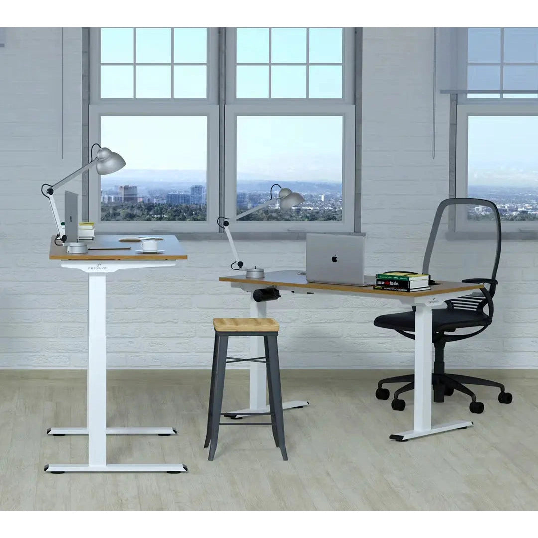 Erogpixel Altura leggero Series Height Adjustable Desks 1.2M Gaming Desks