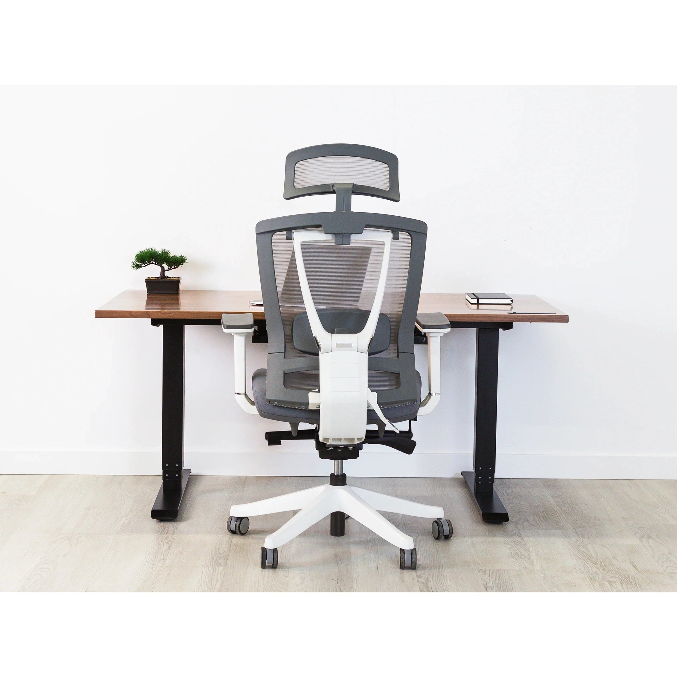 AeryChair Ergonomic Office Chair by EFFYDESK Chairs