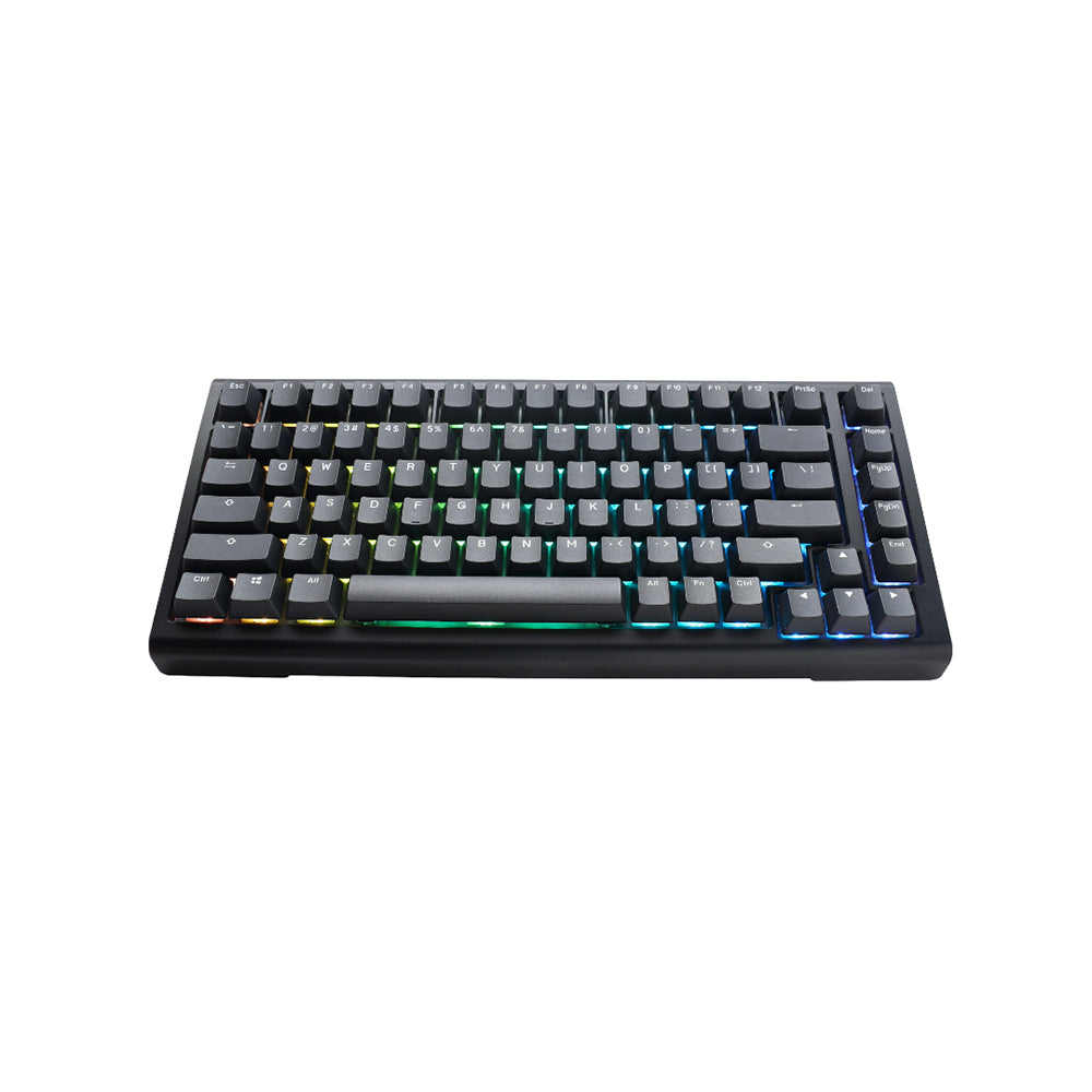 Ducky ProjectD - Tinker 75 Mechanical Keyboard Hot-Swappable RGB MX Cherry 75% Keyboards