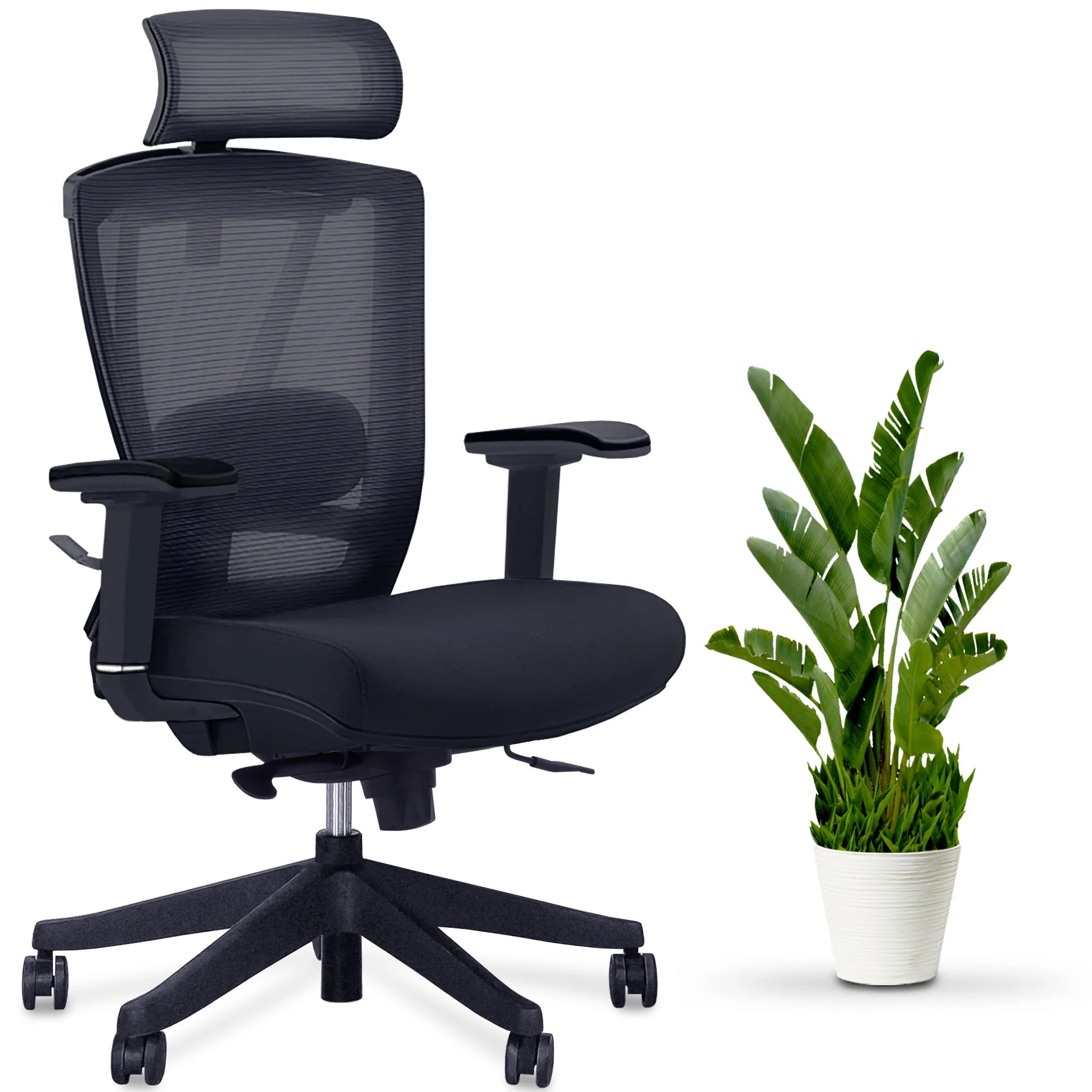 AeryChair Ergonomic Office Chair by EFFYDESK Chairs