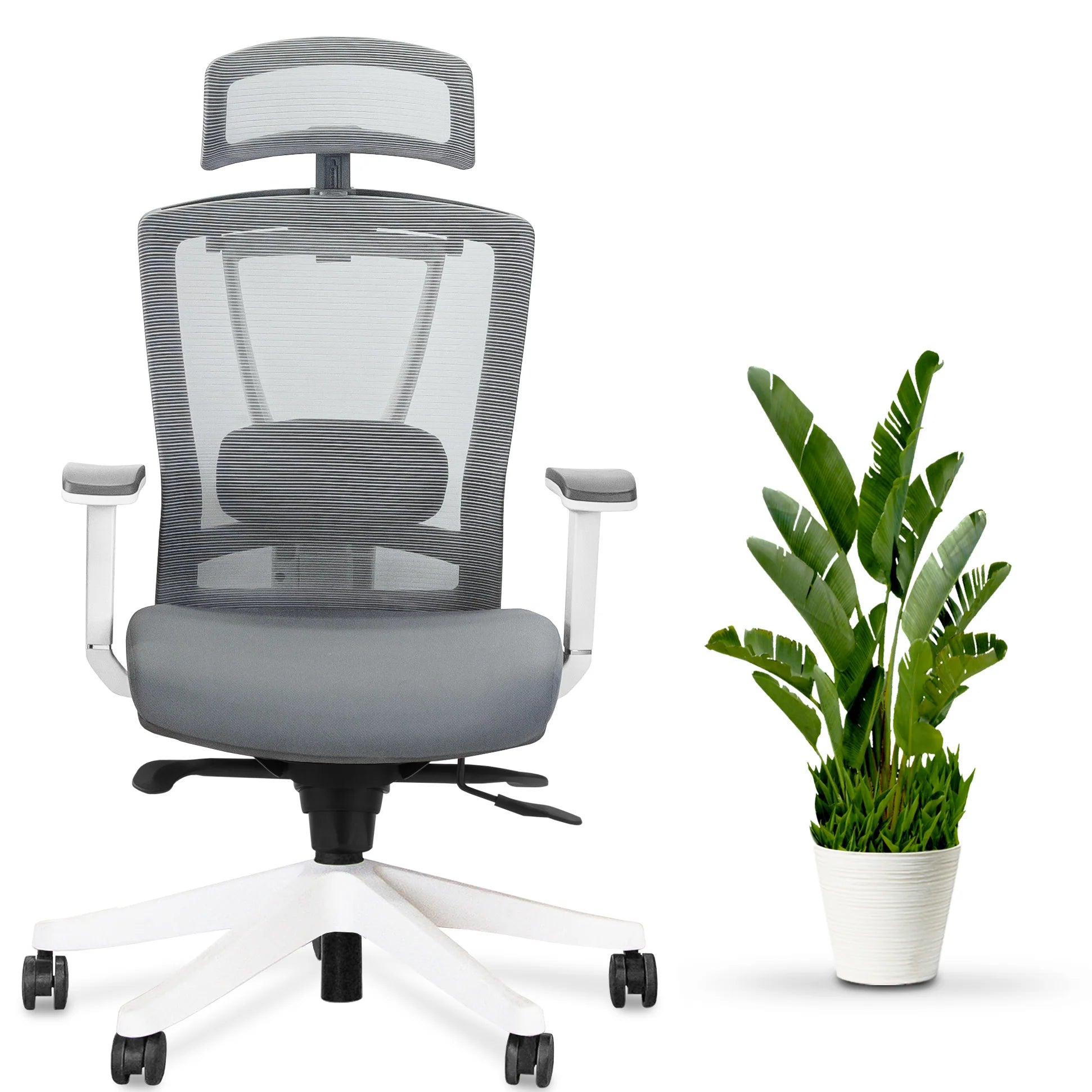 AeryChair Ergonomic Office Chair by EFFYDESK Chairs