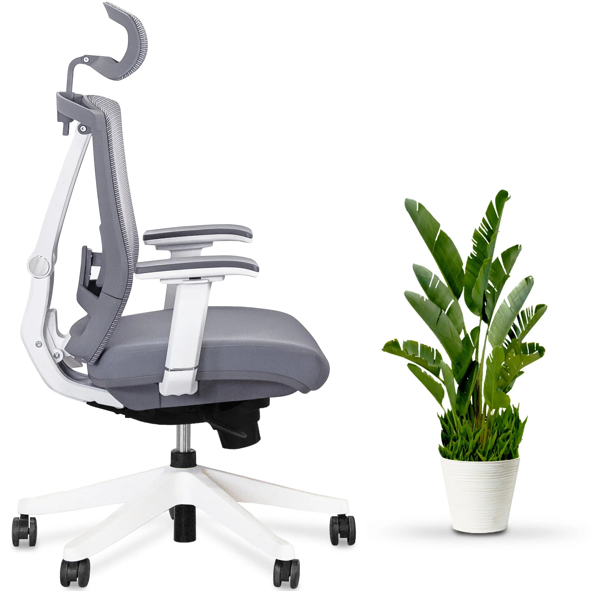 AeryChair Ergonomic Office Chair by EFFYDESK Chairs