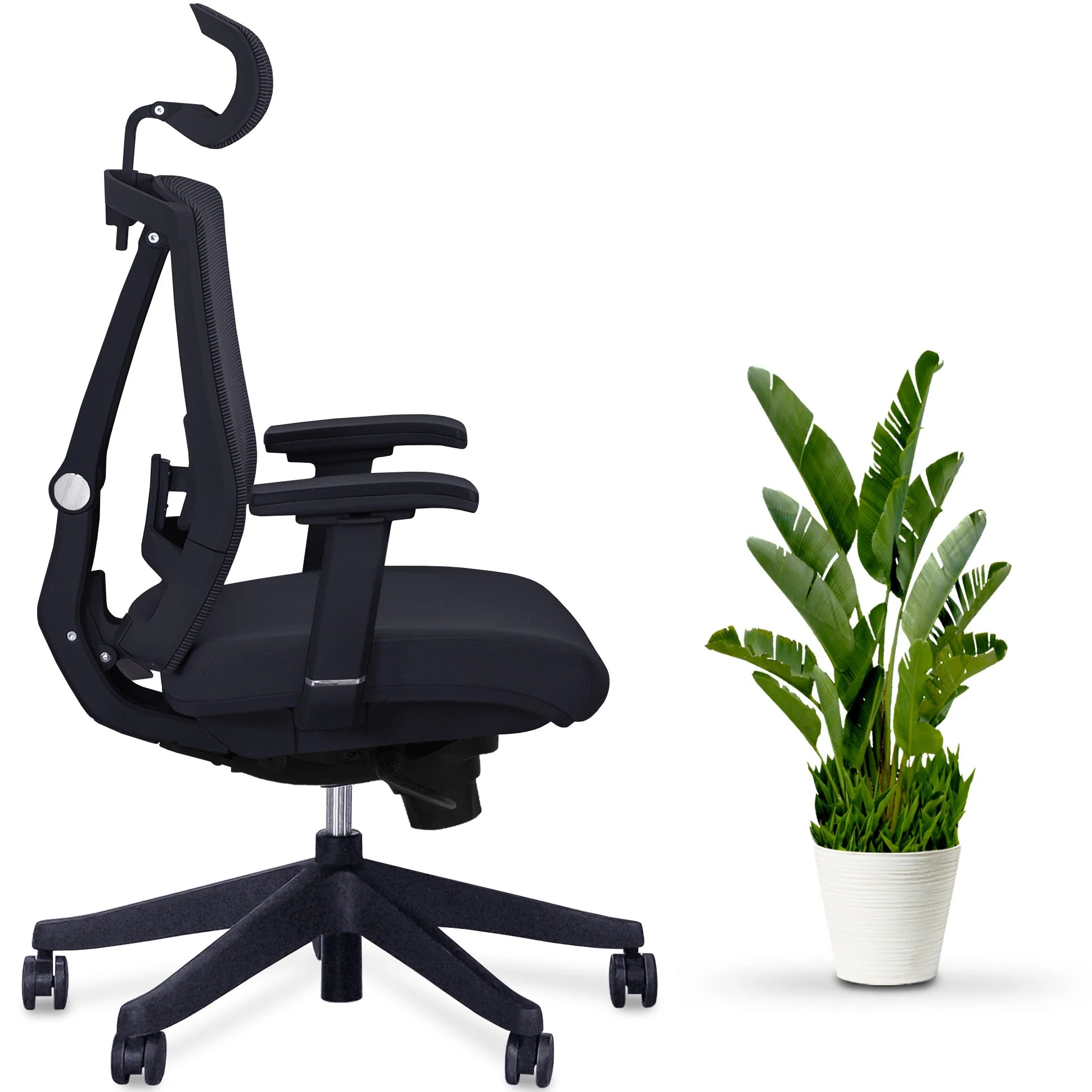 AeryChair Ergonomic Office Chair by EFFYDESK Chairs