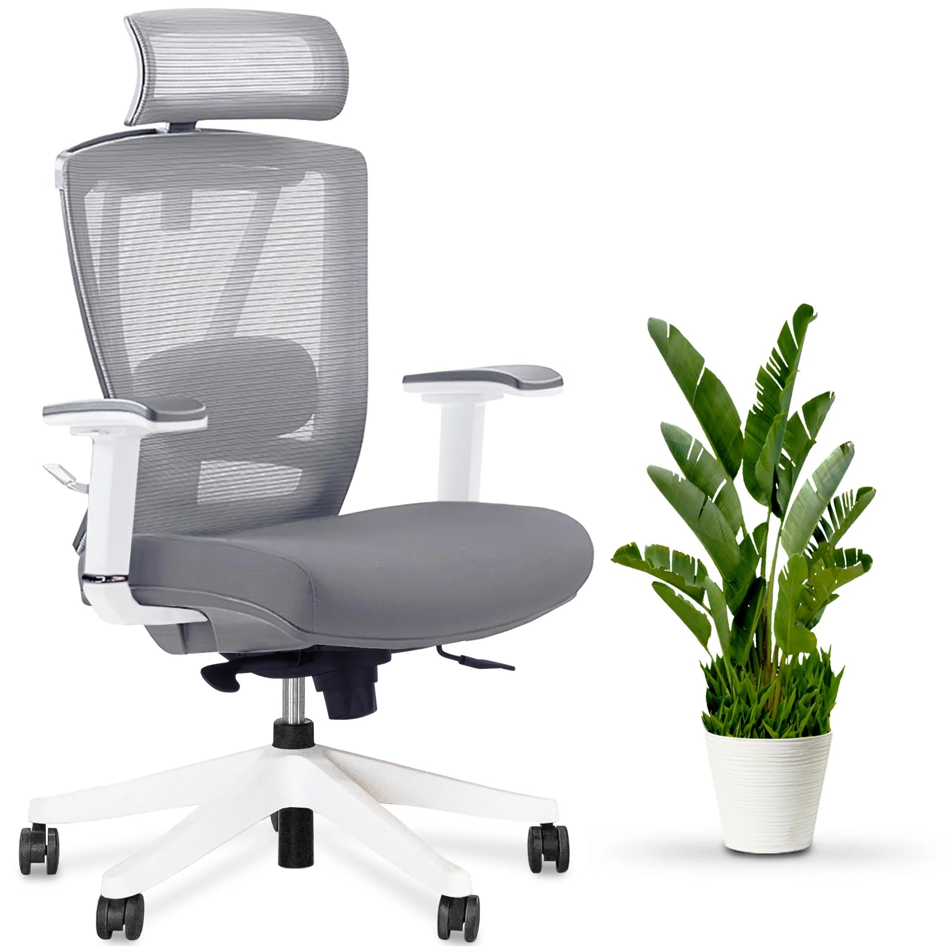 AeryChair Ergonomic Office Chair by EFFYDESK Chairs