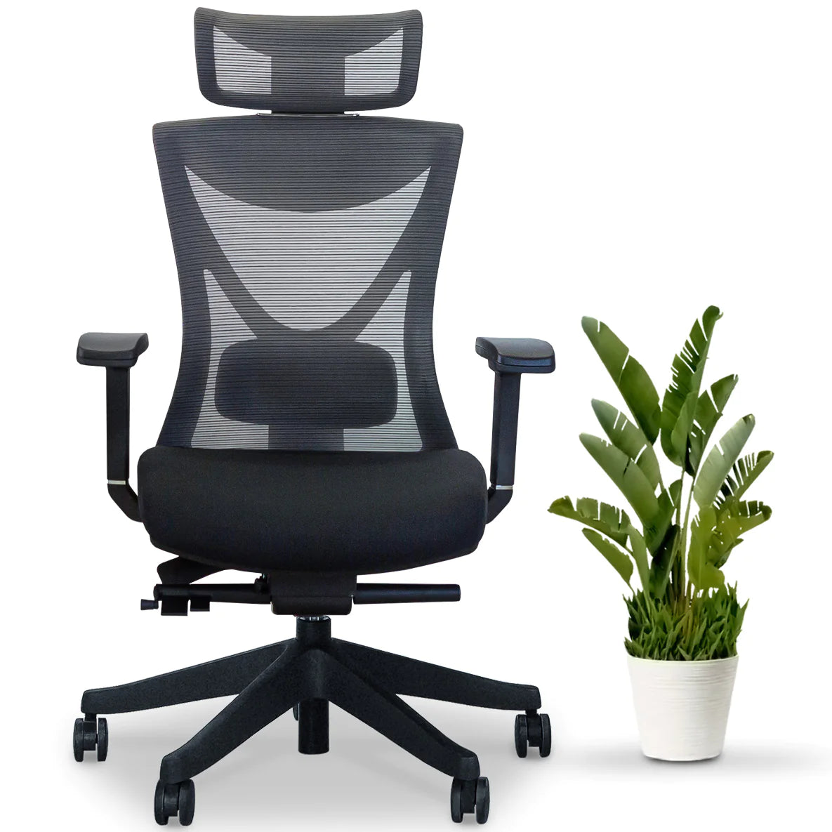 KaiChair Ergonomic Office Chair by EFFYDESK Office Chairs
