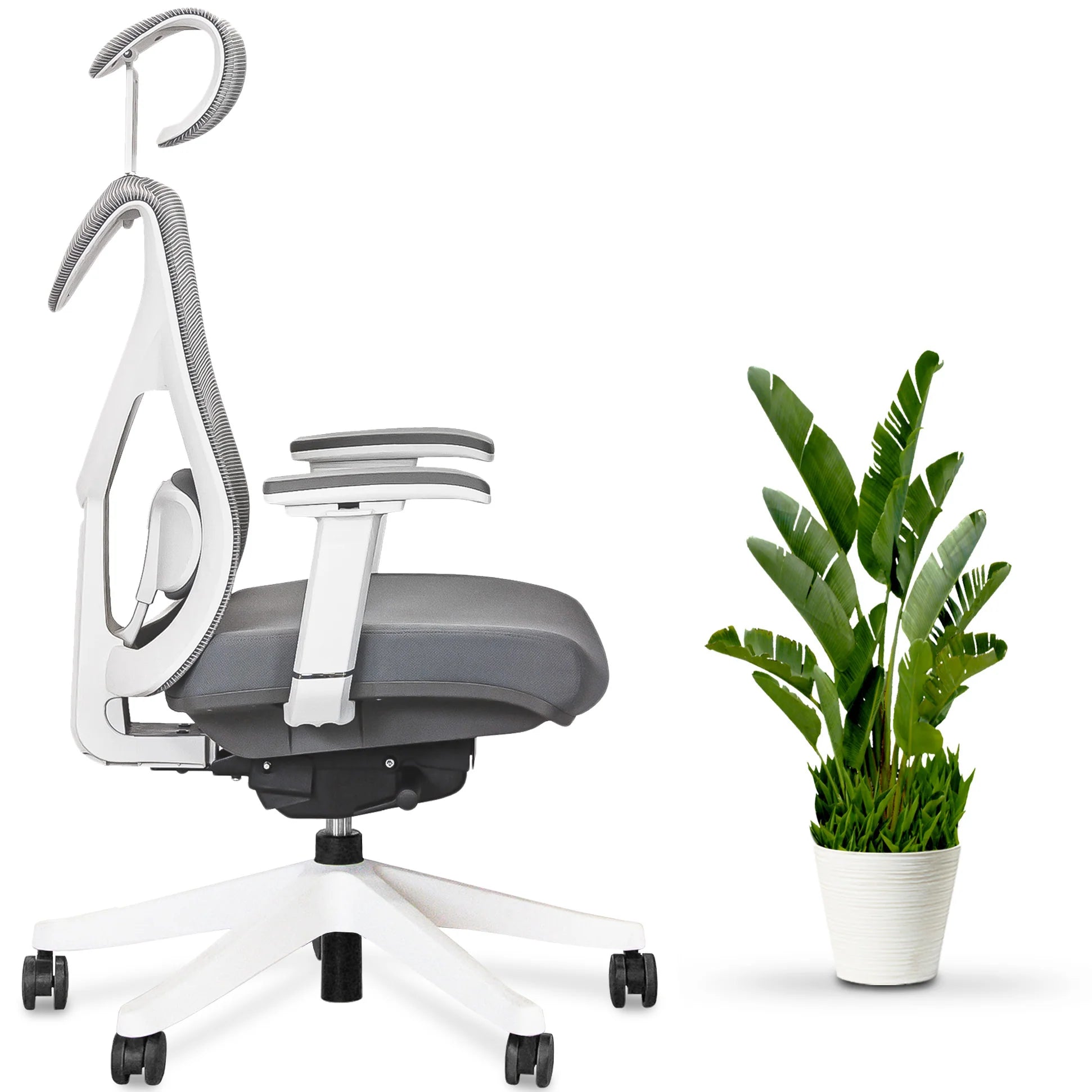 KaiChair Ergonomic Office Chair by EFFYDESK Office Chairs