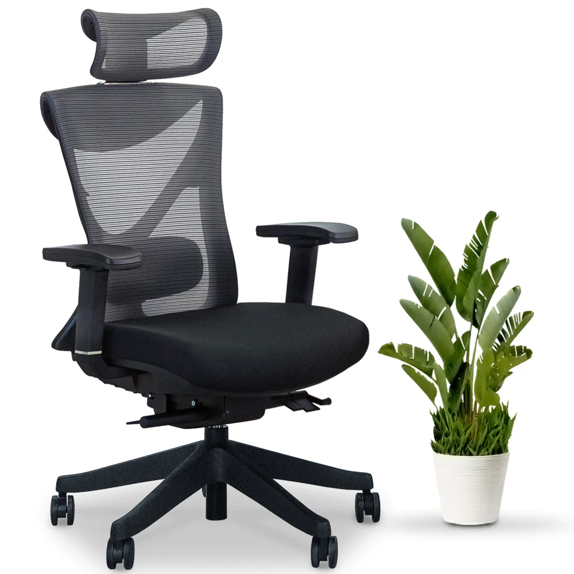 KaiChair Ergonomic Office Chair by EFFYDESK Office Chairs