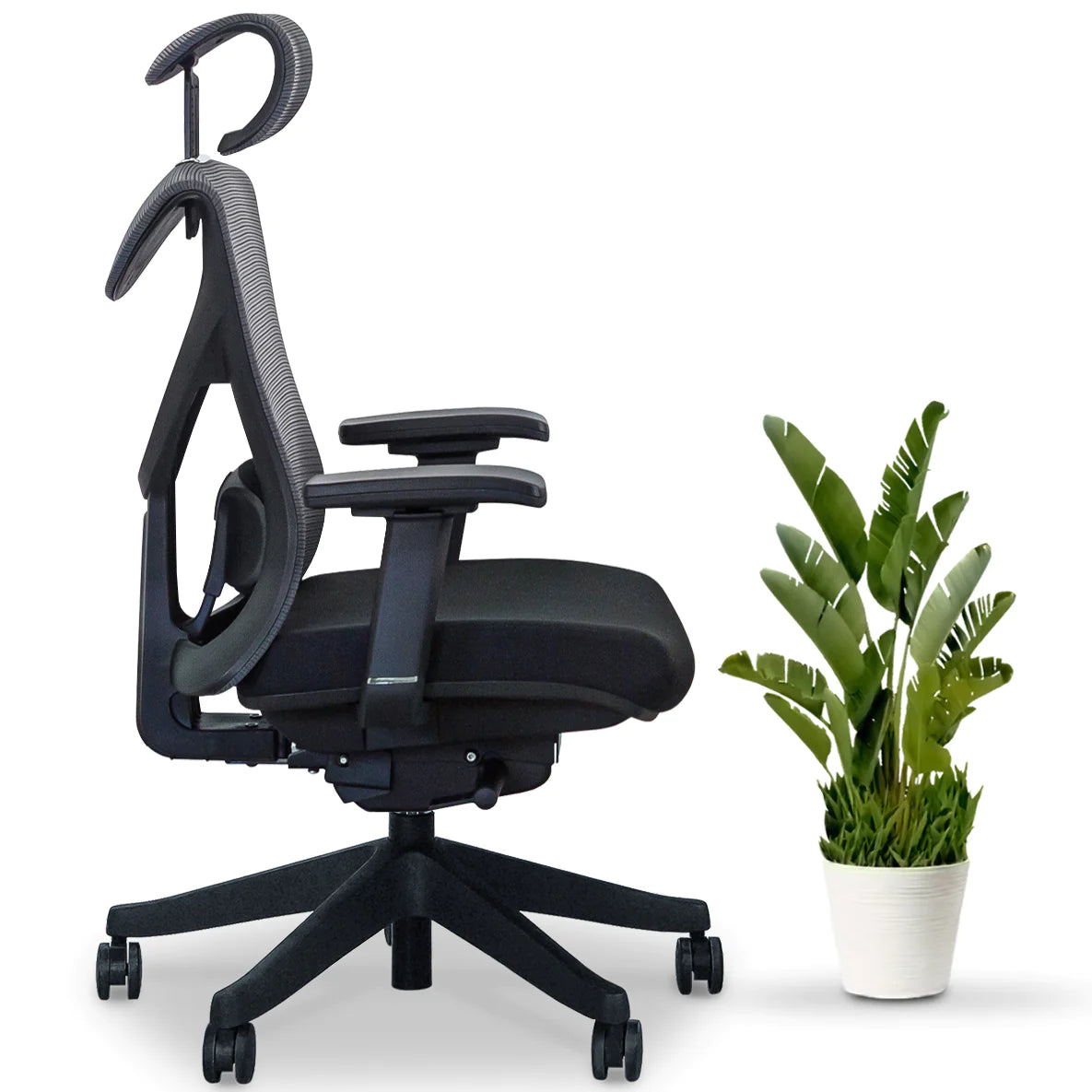 KaiChair Ergonomic Office Chair by EFFYDESK Office Chairs