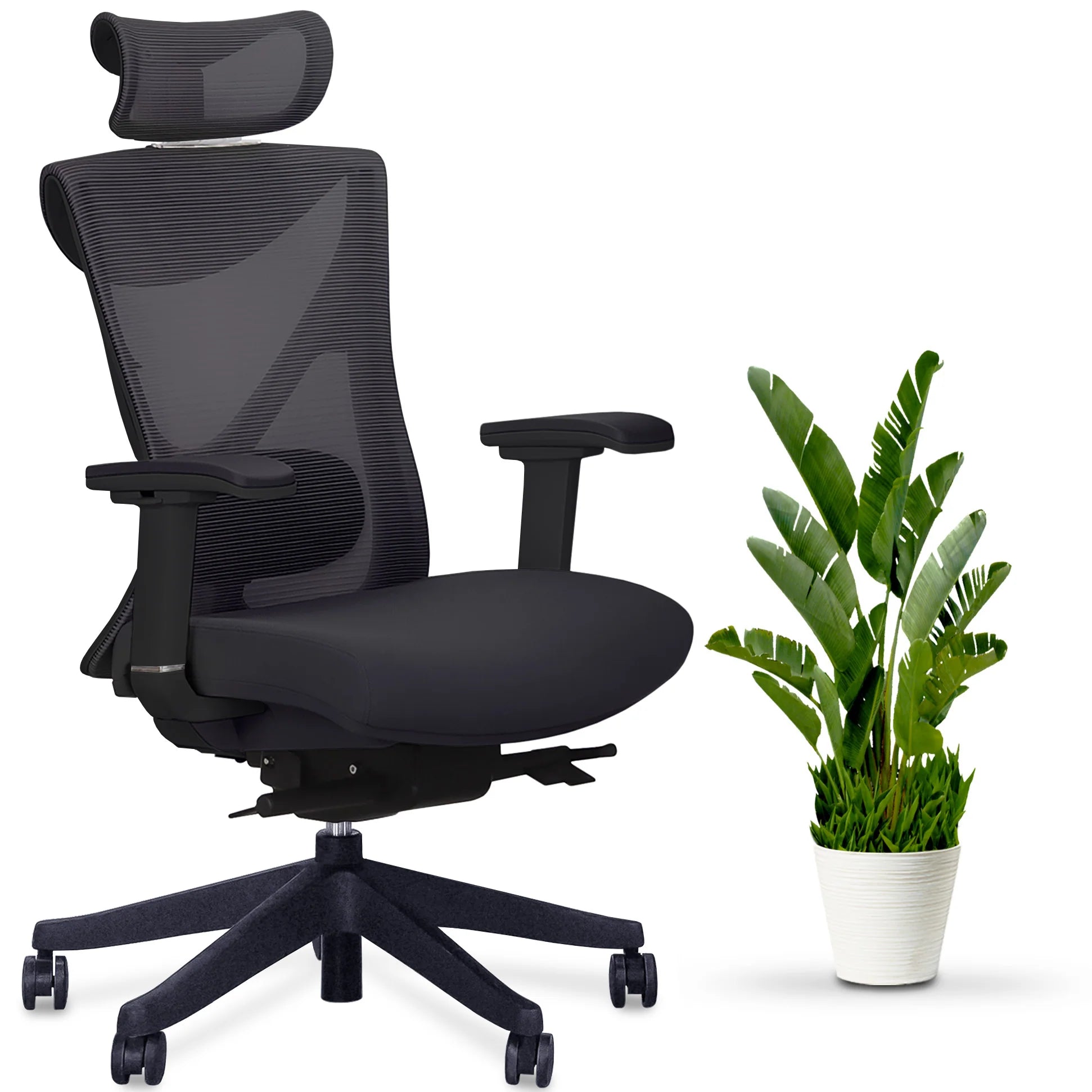 KaiChair Ergonomic Office Chair by EFFYDESK Office Chairs