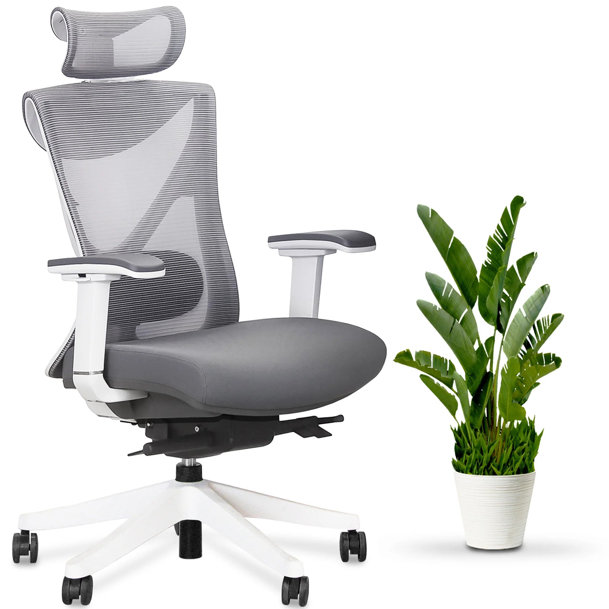 KaiChair Ergonomic Office Chair by EFFYDESK Office Chairs