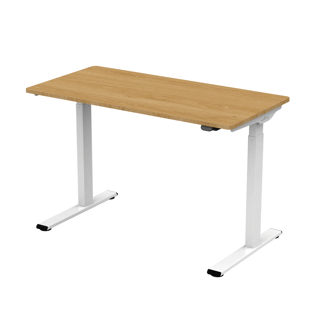 Erogpixel Altura leggero Series Height Adjustable Desks 1.2M Gaming Desks
