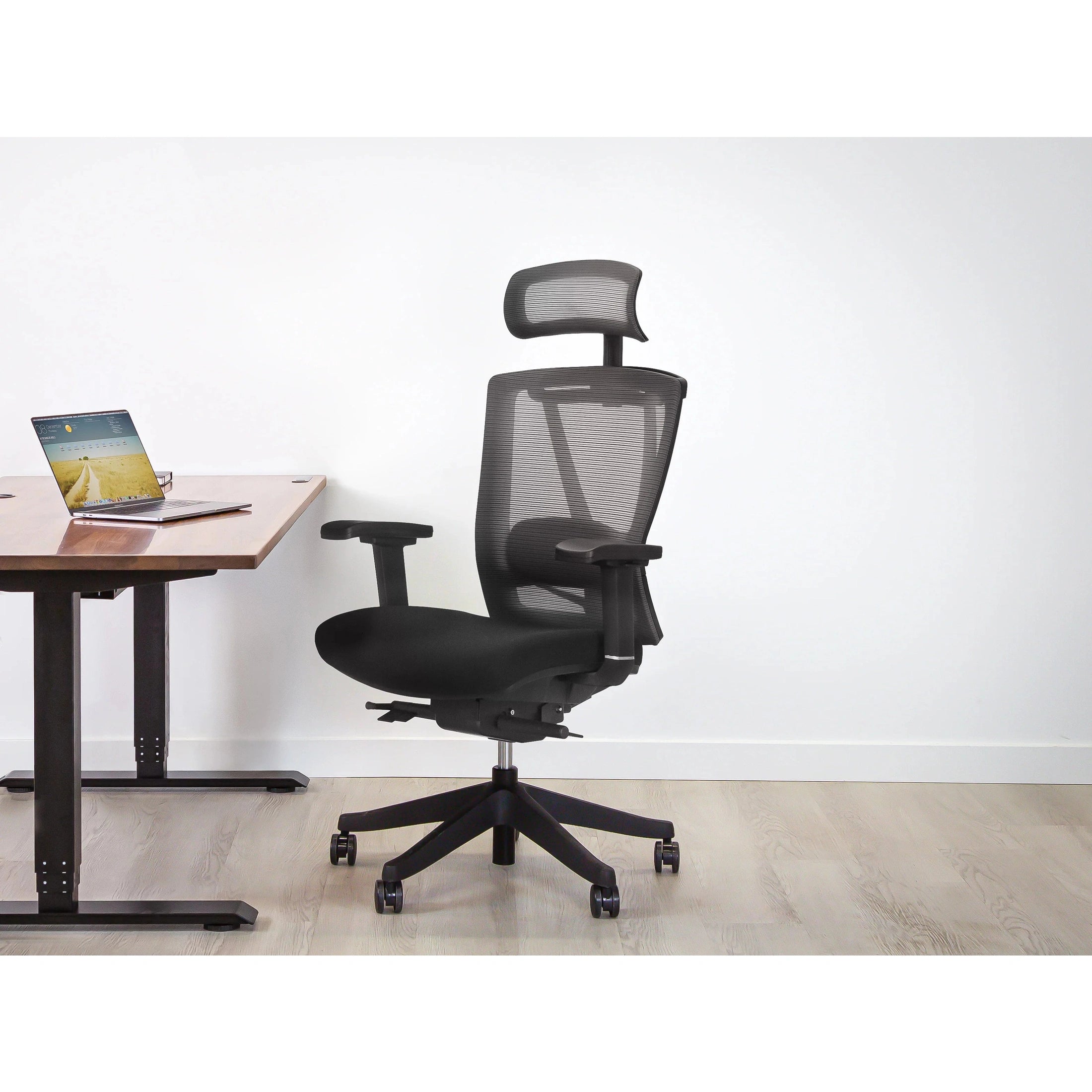 AeryChair Ergonomic Office Chair by EFFYDESK Chairs