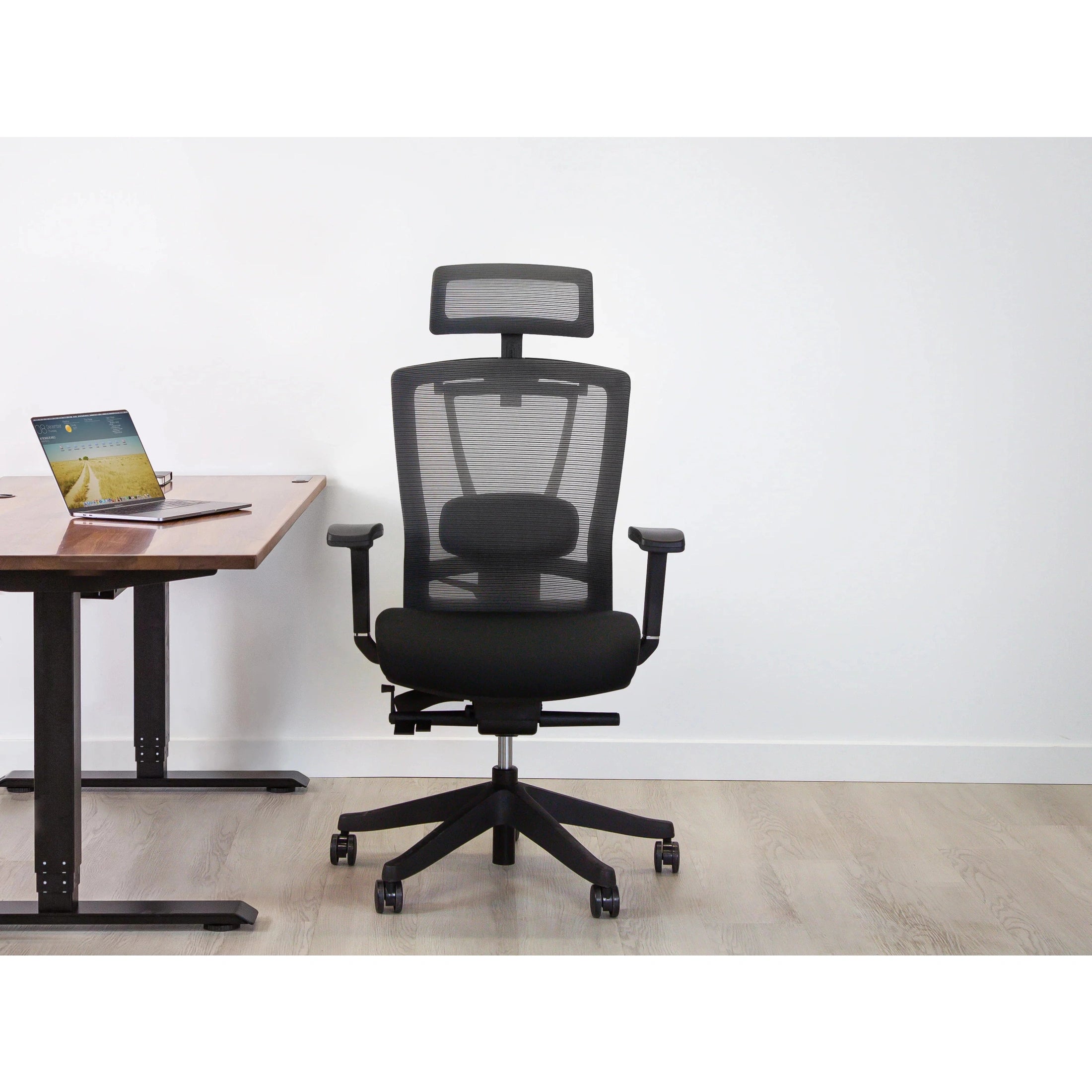 AeryChair Ergonomic Office Chair by EFFYDESK Chairs