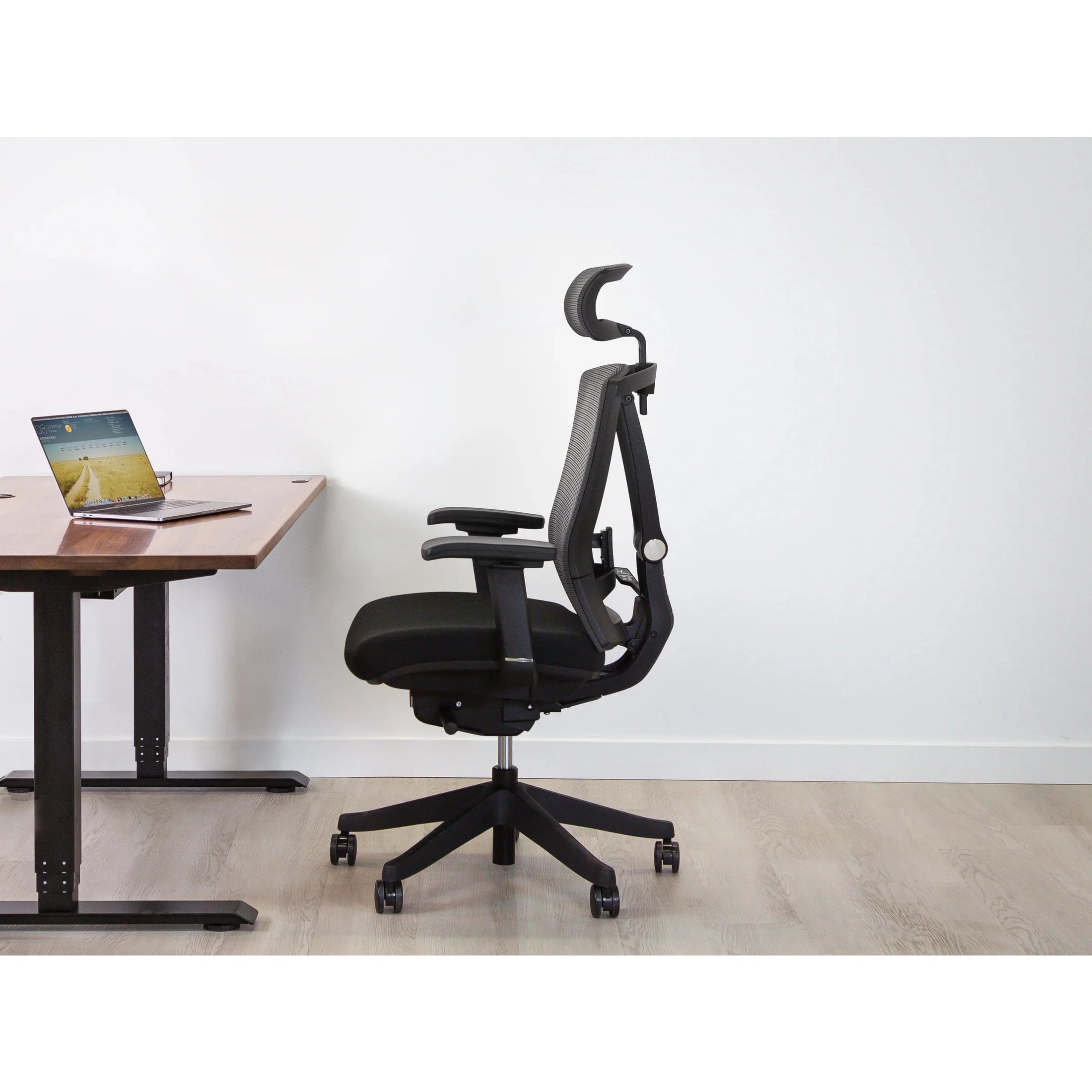 AeryChair Ergonomic Office Chair by EFFYDESK Chairs