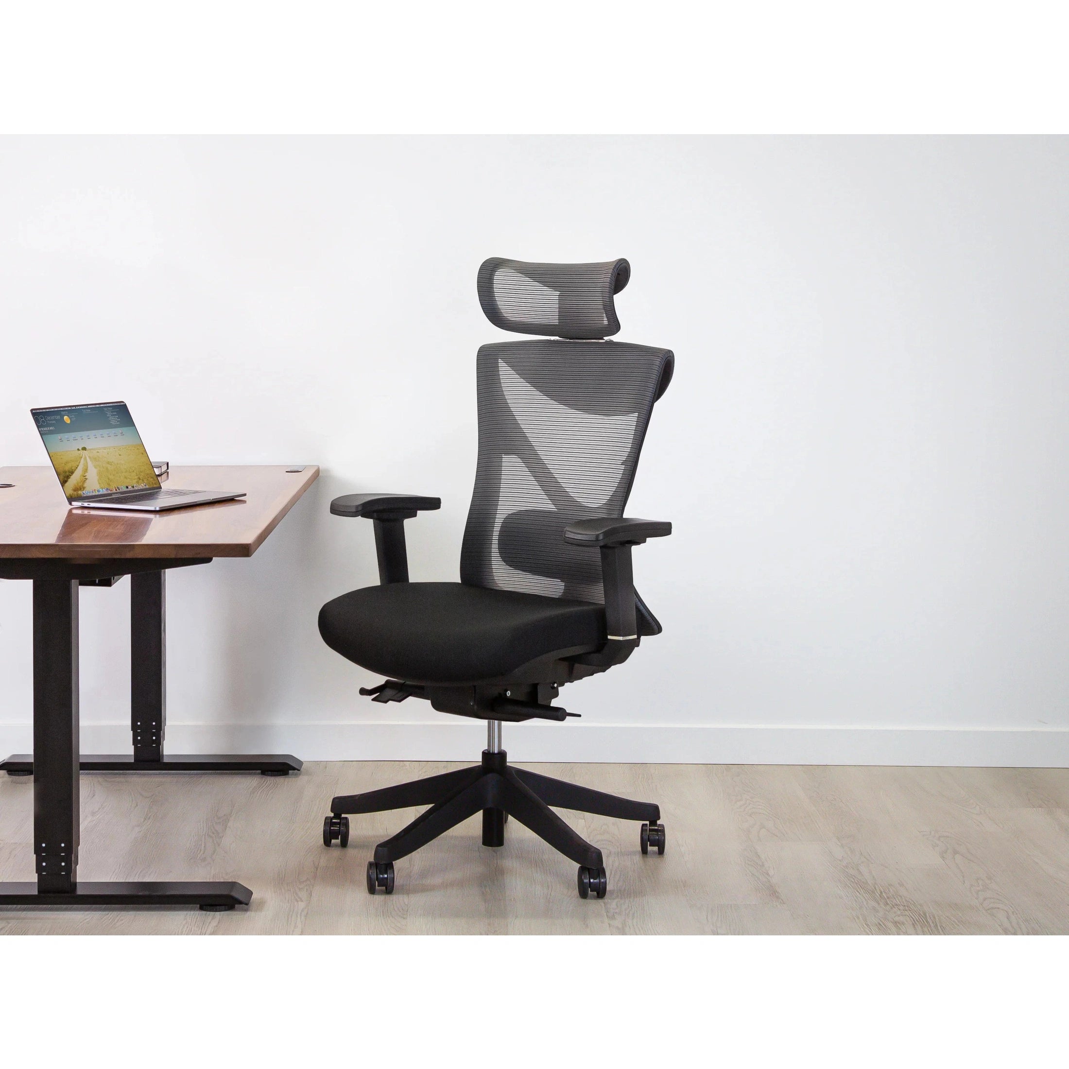 KaiChair Ergonomic Office Chair by EFFYDESK Office Chairs