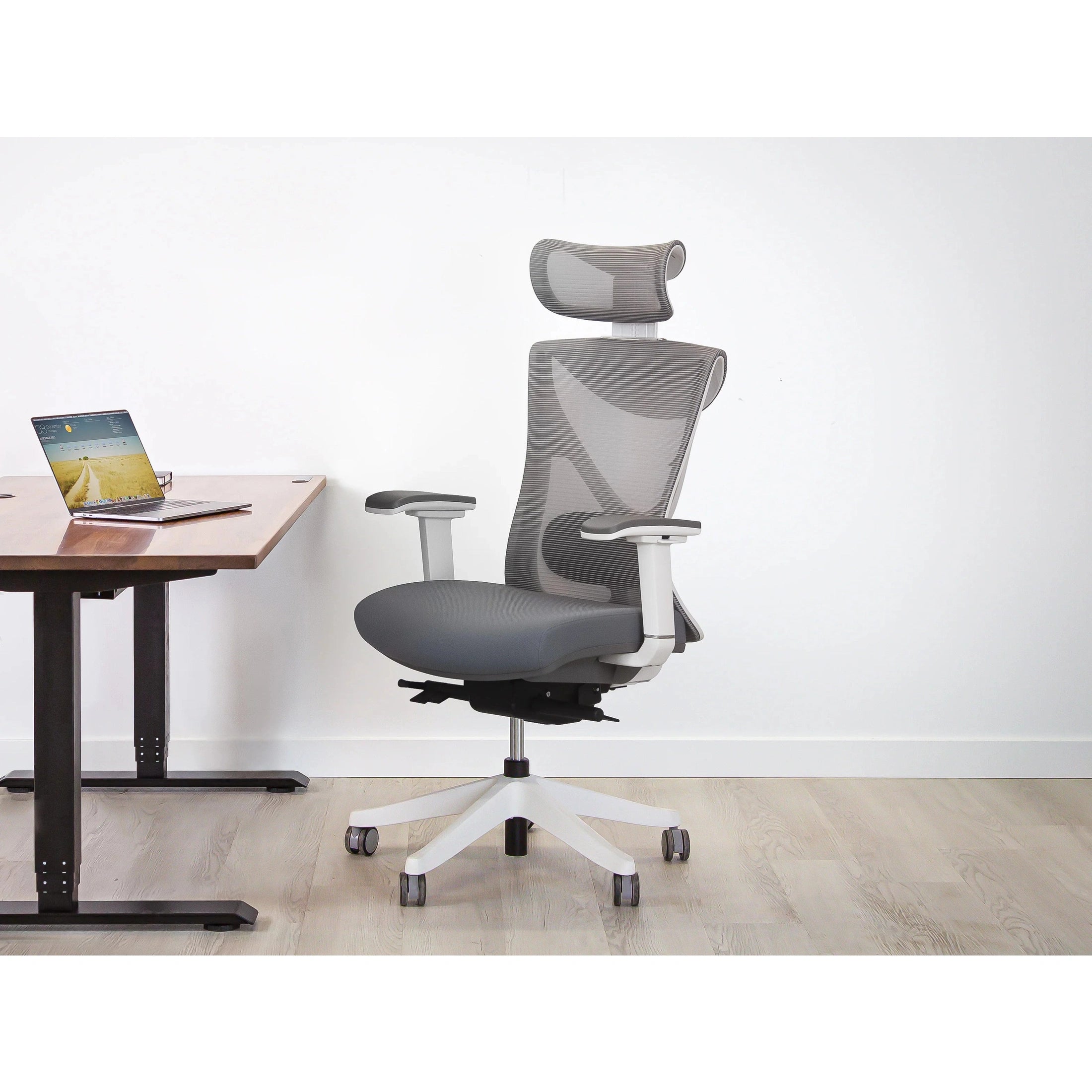 KaiChair Ergonomic Office Chair by EFFYDESK Office Chairs