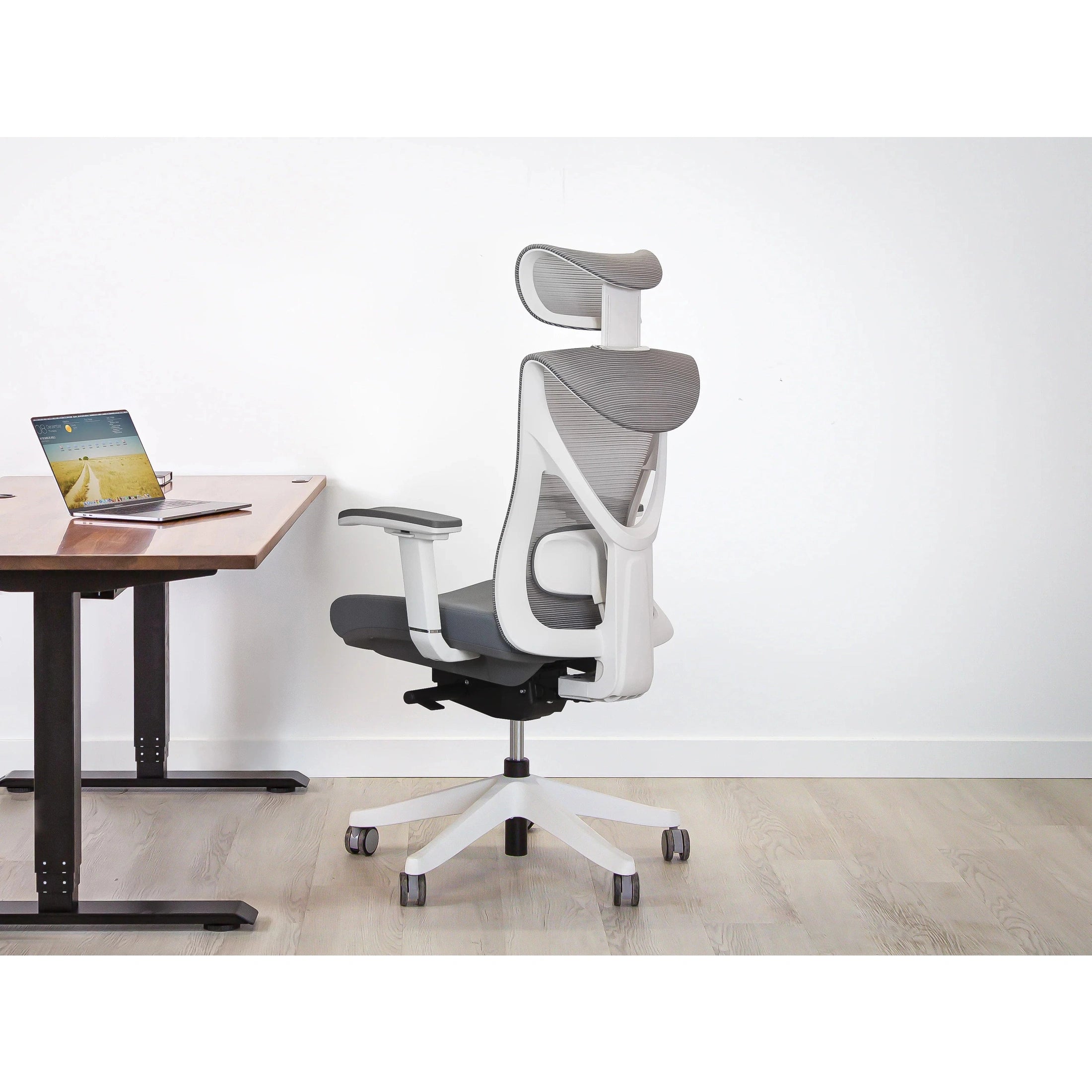 KaiChair Ergonomic Office Chair by EFFYDESK Office Chairs
