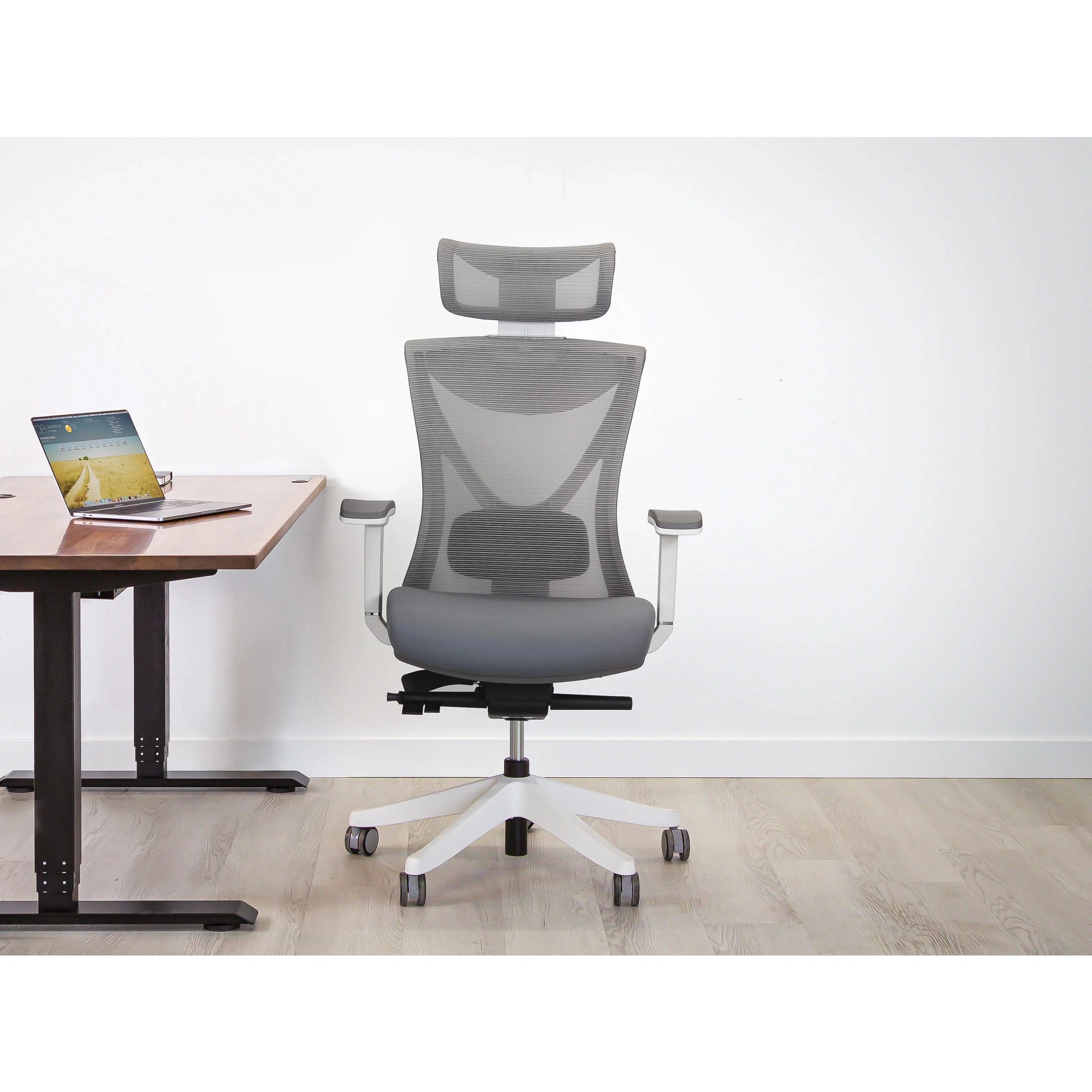 KaiChair Ergonomic Office Chair by EFFYDESK Office Chairs