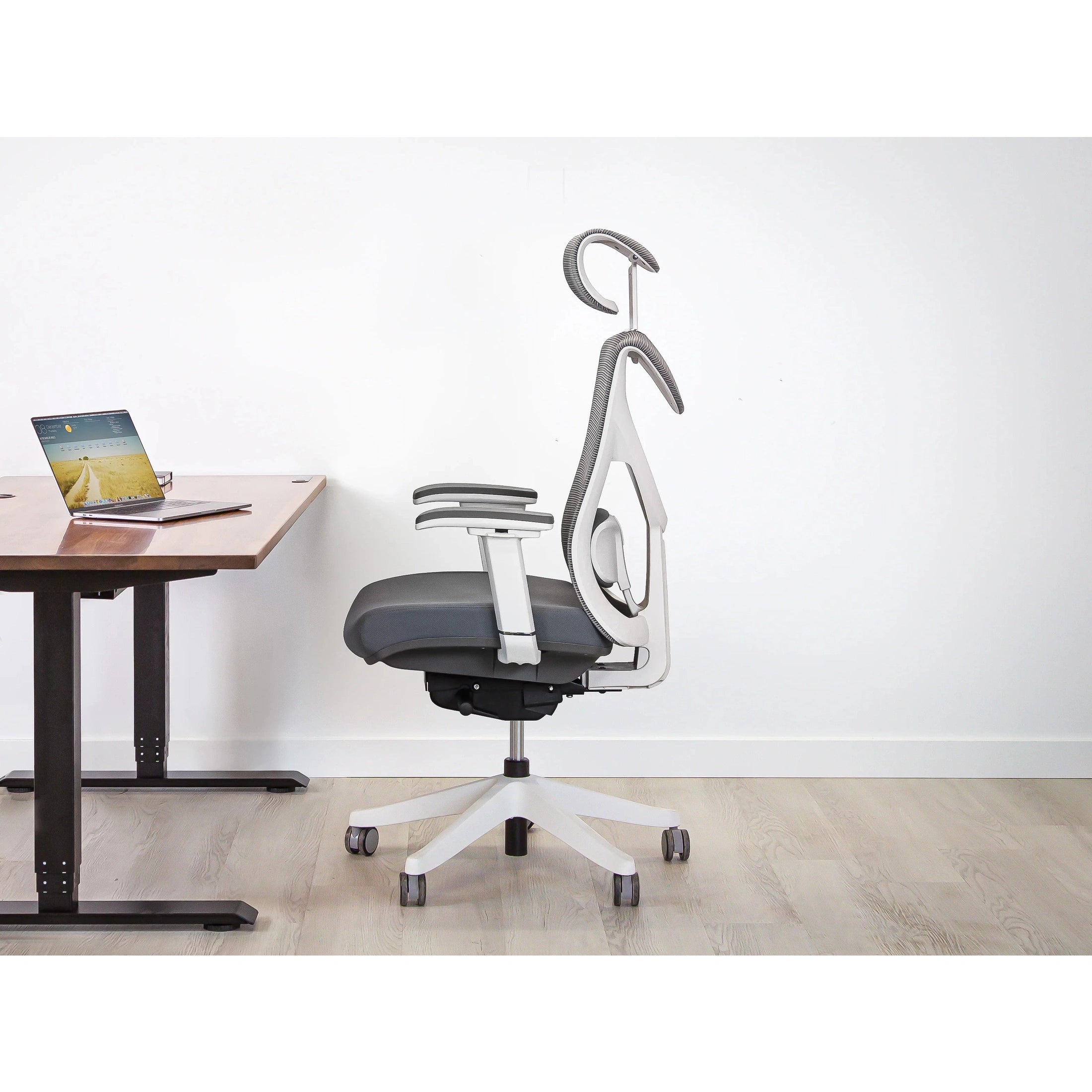 KaiChair Ergonomic Office Chair by EFFYDESK Office Chairs