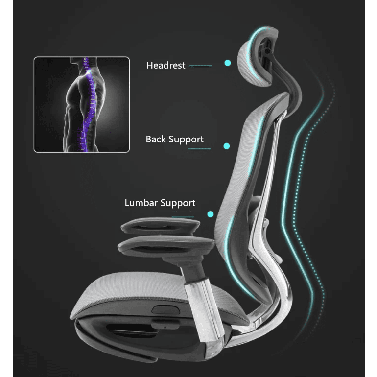 CeliniChair - Ergonomic Chair EFFYDESK Office Chairs