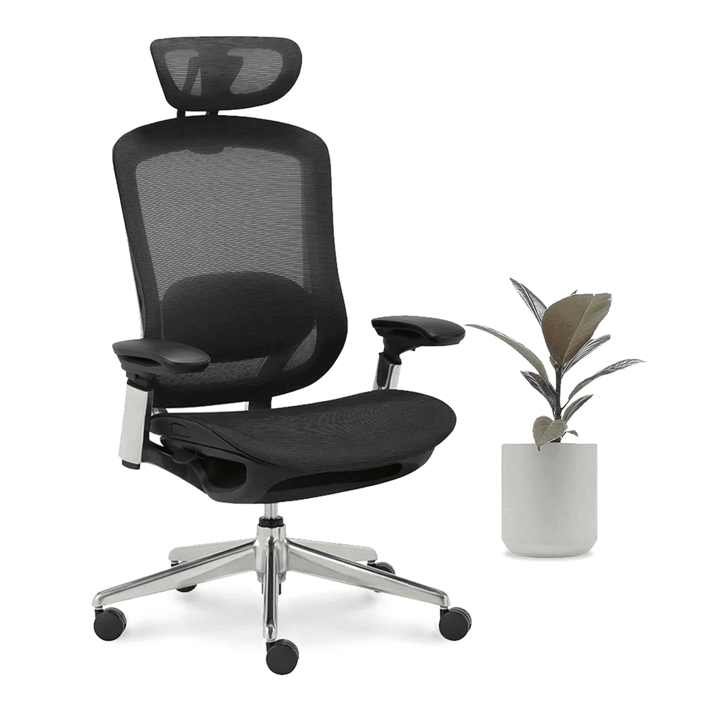 CeliniChair - Ergonomic Chair EFFYDESK Office Chairs