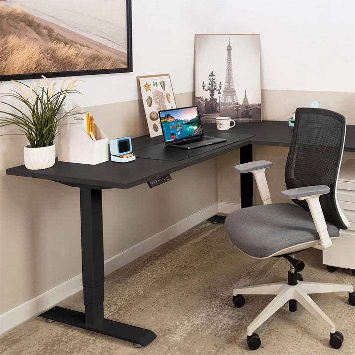 Effydesk Grove Standing Desk Home Office Desks