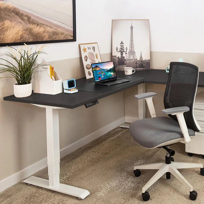 Effydesk Grove Standing Desk Home Office Desks