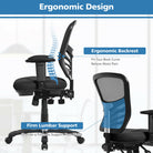 Costway mesh chair back support illustration