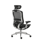 CeliniChair - Ergonomic Chair EFFYDESK Office Chairs