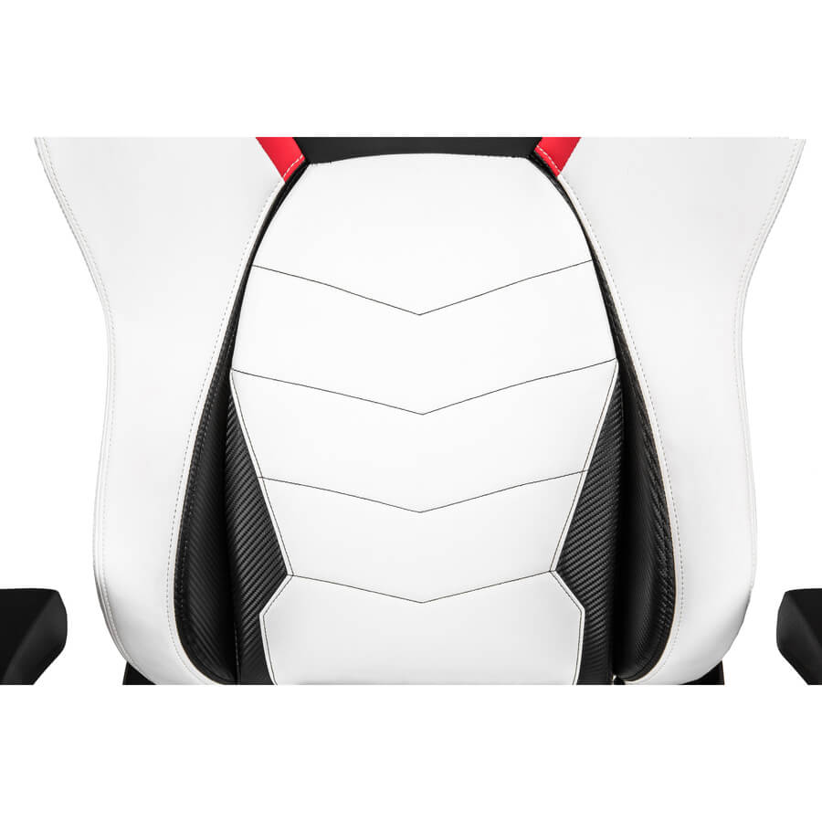 Akracing Masters Series Premium Arctica Gaming Chair AK-PREMIUM-ARCTICA AKRACING Gaming Chairs