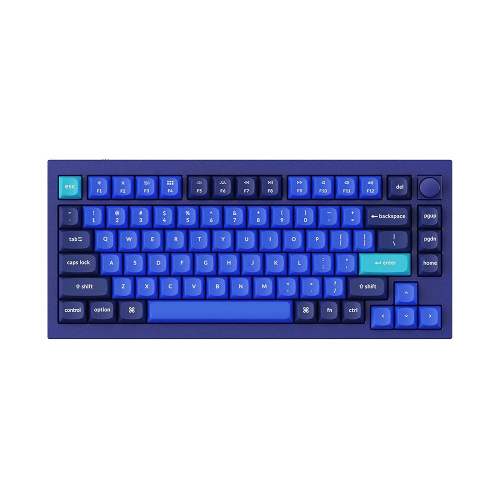 Keychron Q1 Mechanical Keyboard Hotswap V2 Blue Gateron Pro Blue Keychron Keyboard