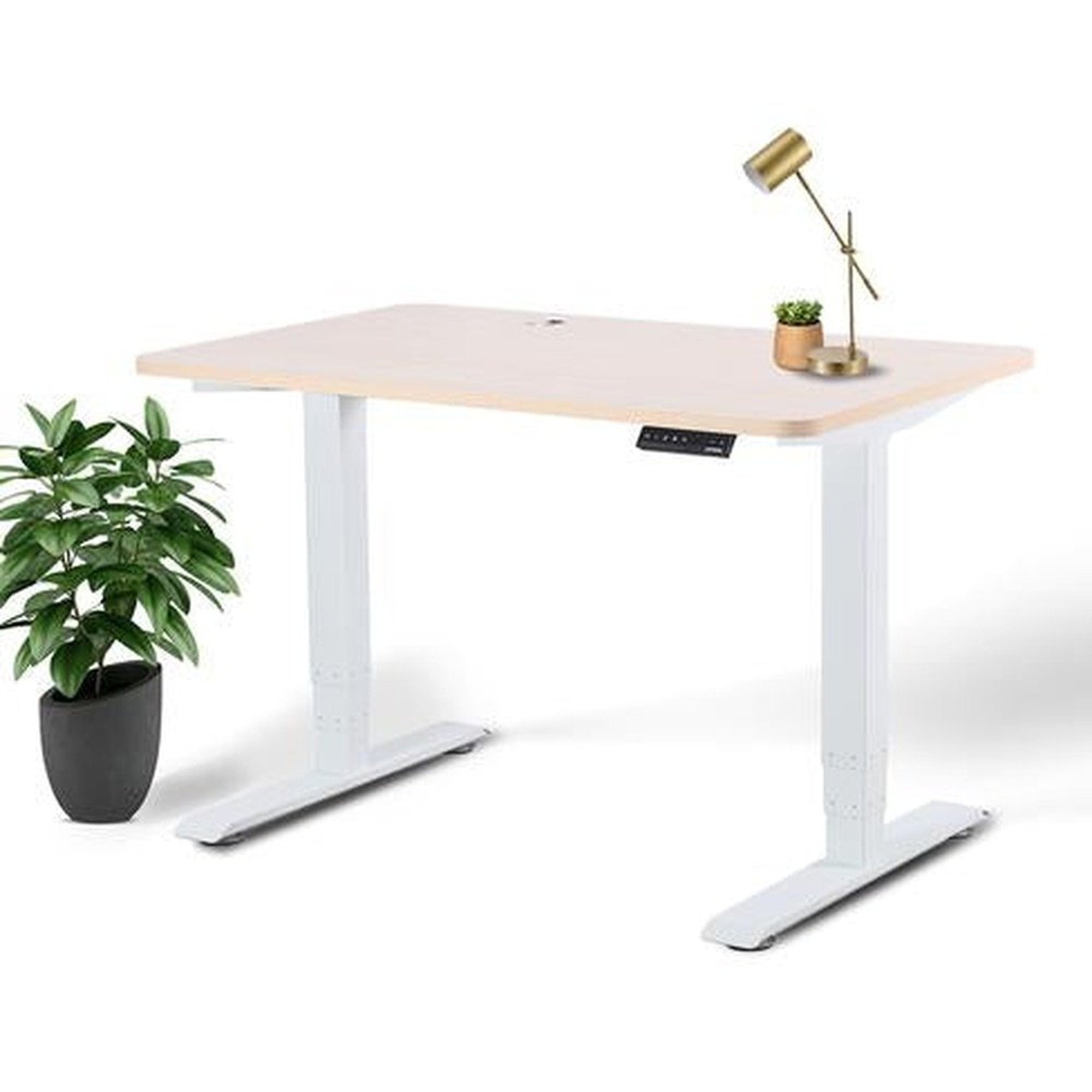 Business Office Standing Desk by EFFYDESK EFFYDESK Desks