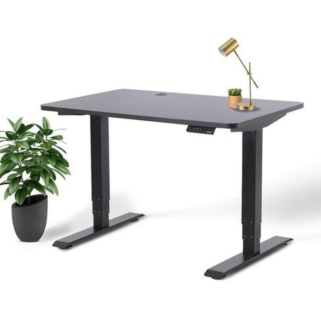Business Office Standing Desk by EFFYDESK EFFYDESK Desks