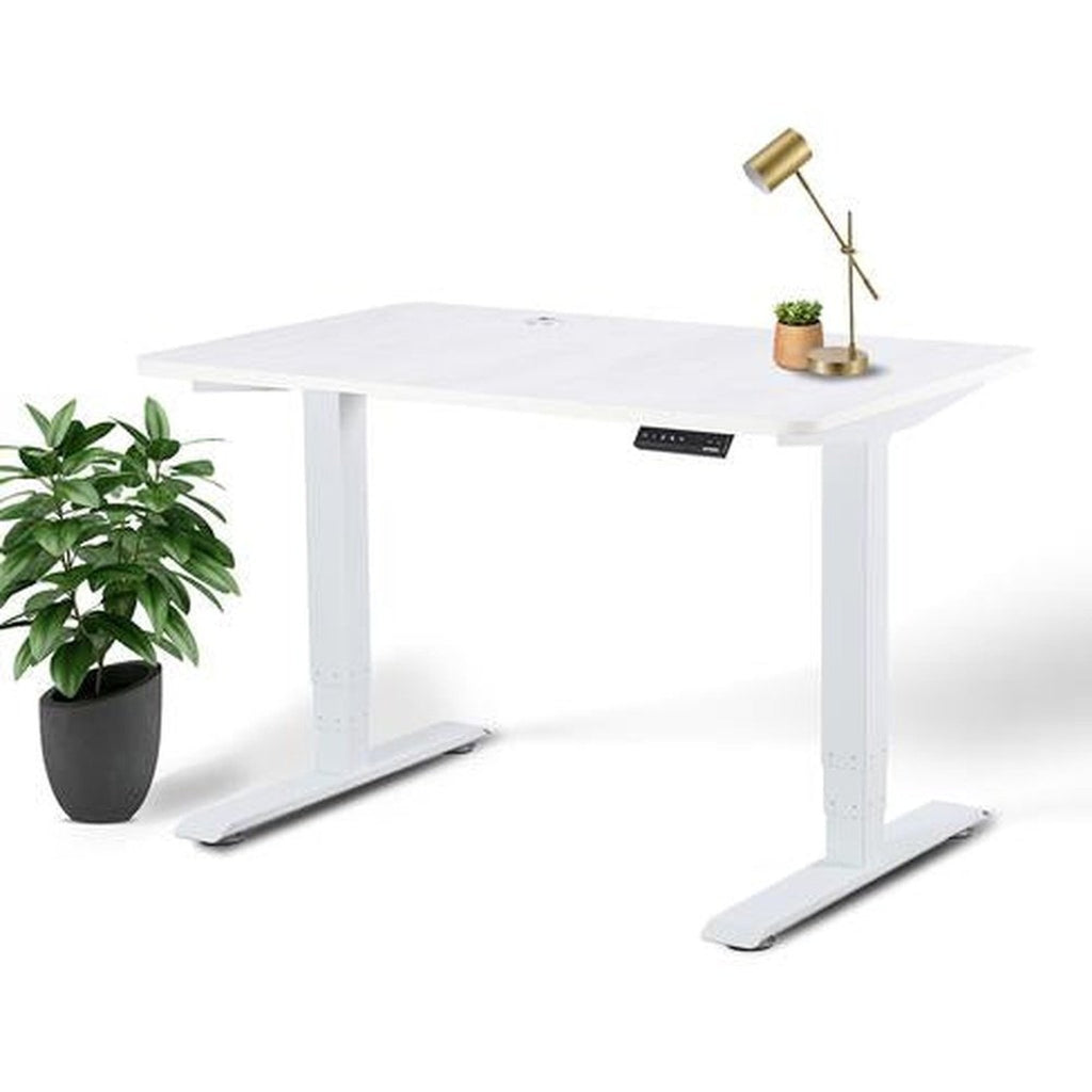Business Office Standing Desk by EFFYDESK EFFYDESK Desks