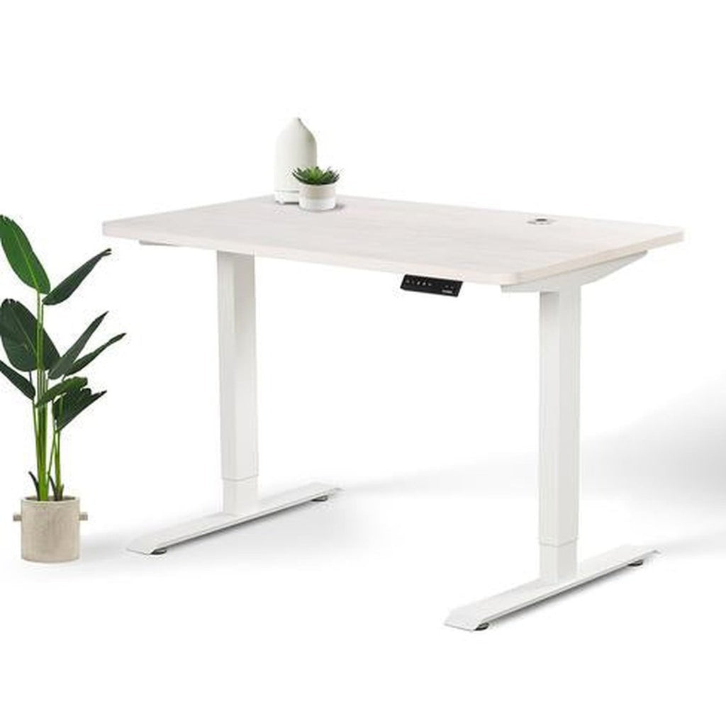 Home Office Standing Desk by EFFYDESK EFFYDESK Desks