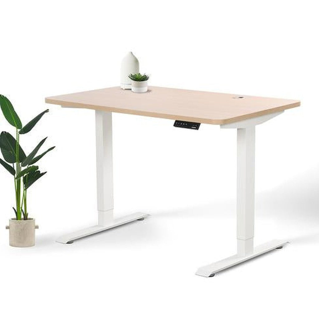 Home Office Standing Desk by EFFYDESK EFFYDESK Desks