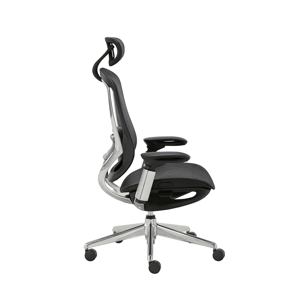 CeliniChair - Ergonomic Chair EFFYDESK Office Chairs