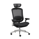 CeliniChair - Ergonomic Chair EFFYDESK Office Chairs