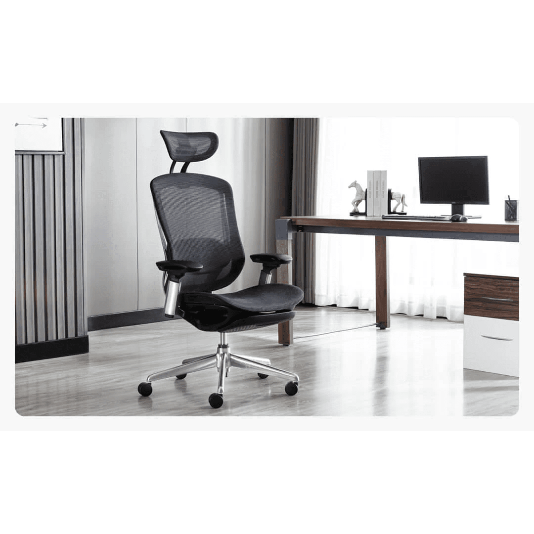 CeliniChair - Ergonomic Chair EFFYDESK Office Chairs