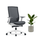 GrinChair - Ergonomic Chair EFFYDESK Office Chairs